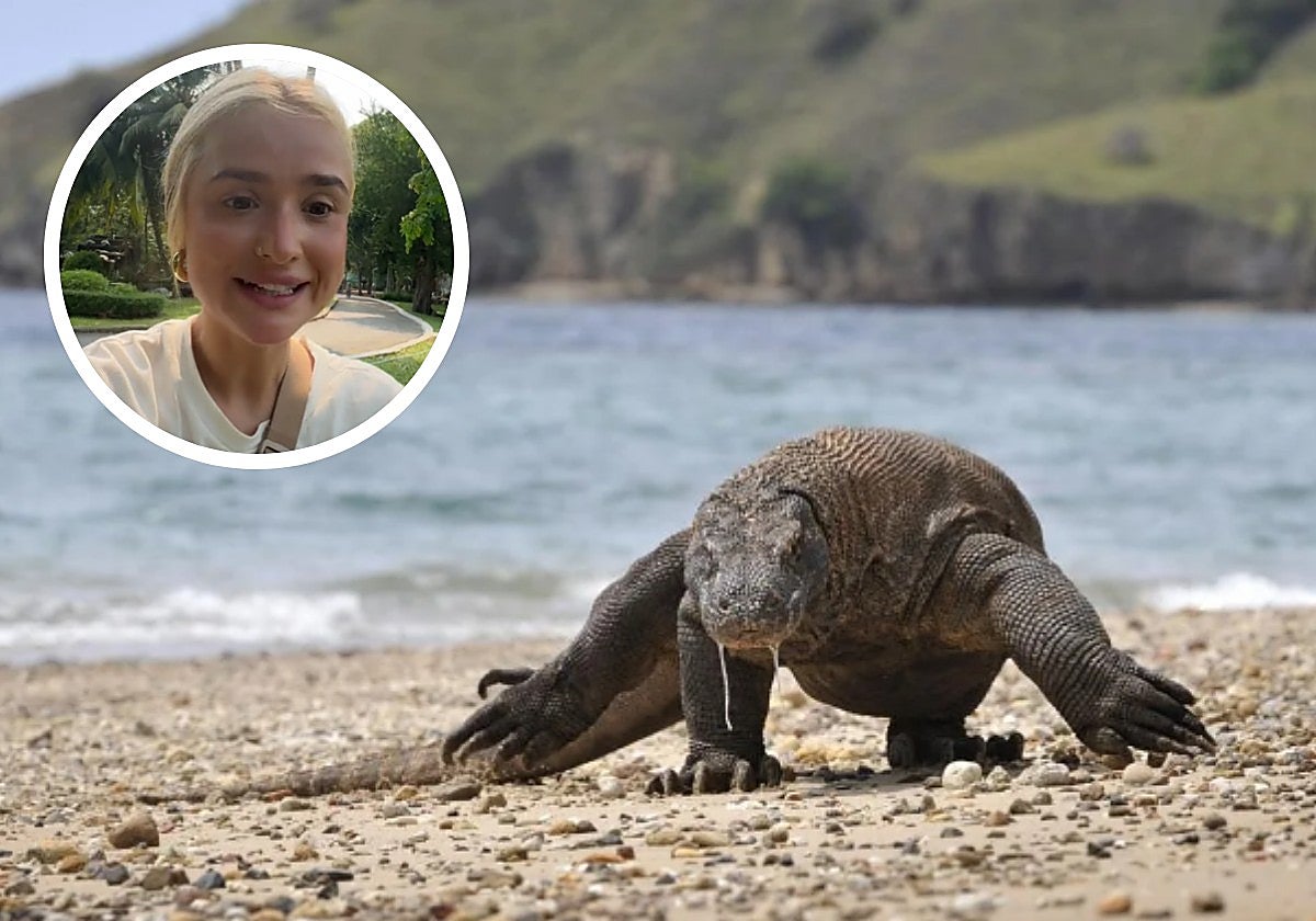Una española en Tailandia señala cuál es la forma más fácil para ver un dragón de komodo