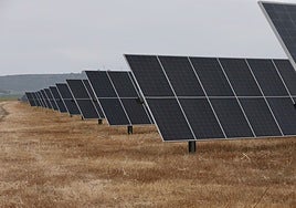 Bruc inaugura en Carmona su mayor parque solar y venderá parte de la energía a la farmacéutica Pfizer