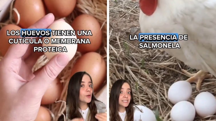 Una ingeniera de alimentos advierte sobre el error que comete mucha gente con los huevos: «Su vida útil disminuye mucho»