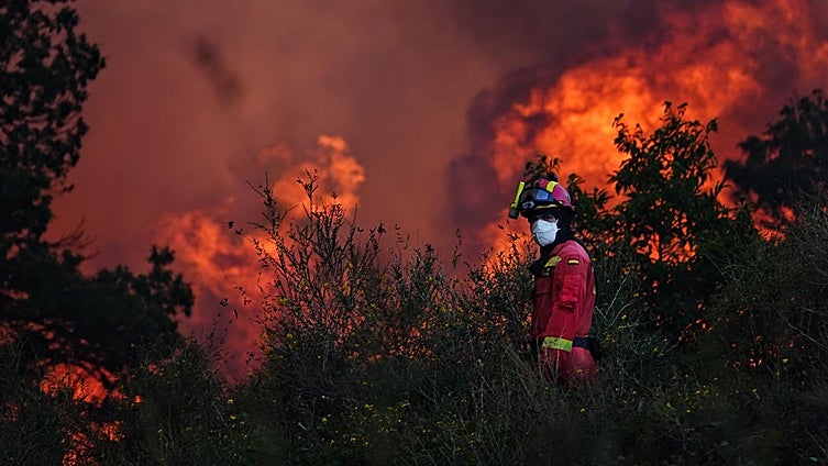 Miguel Bosé dice lo que muchos piensan tras los incendios que han asolado España y señala a los políticos: «Sabemos quiénes son los responsables»