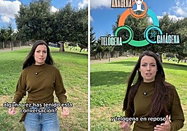 Laura Pinillas, bióloga: «Se te cae más el pelo en otoño por el daño acumulado en verano, ocurre dos o tres meses después del desencadenante»