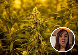 Una abogada explica qué hay que hacer si tu vecino consume drogas: «Si existen indicios de cultivo o tráfico...»