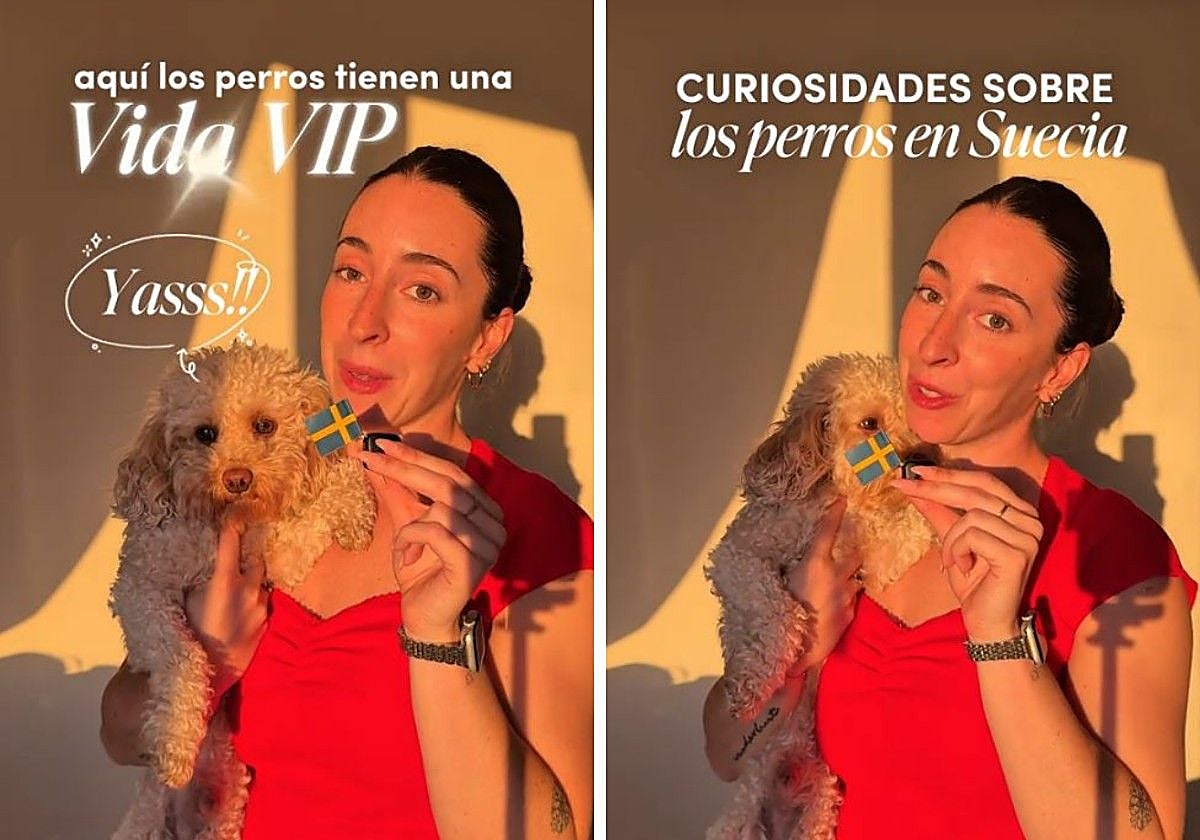 Una española que vive en Suecia, impactada por cómo tratan a los perros en ese país: «Tienen una vida totalmente VIP»