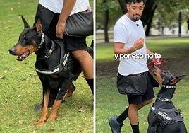 Un etólogo explica cómo actuar cuando un perro no para de ladrar en el parque: «Es muy importante tener el control físico sobre él»