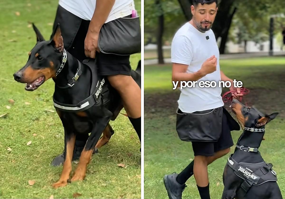 Un etólogo explica cómo actuar cuando un perro no para de ladrar en el parque: «Es muy importante tener el control físico sobre él»