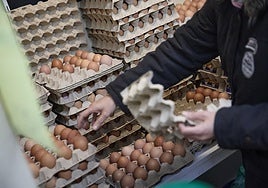 Santiago Niño Becerra, sobre el encarecimiento de los alimentos por Navidad: «A la vez sube el precio y se reduce el volumen y el incremento es brutal»