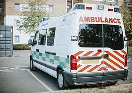 David Andina, pediatra, alerta sobre la curva de casos de gripe en España: «El puente de diciembre va a ser salvaje en los Servicios de Urgencias»