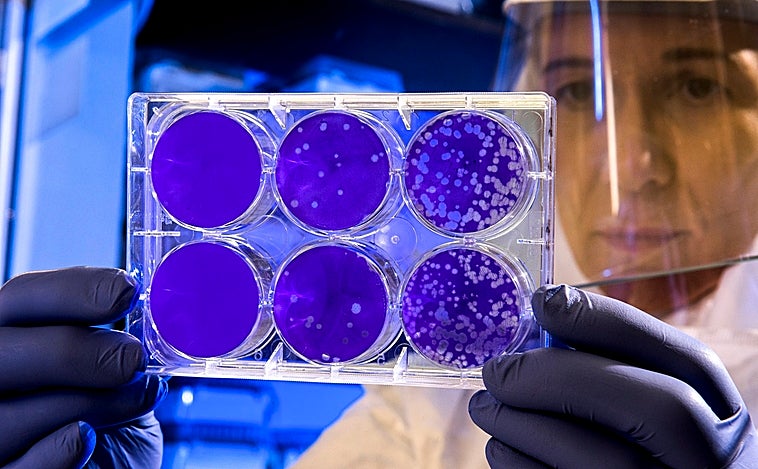 Un fármaco contra el cáncer podría salvar la vida a los pacientes hospitalizados con Covid-19