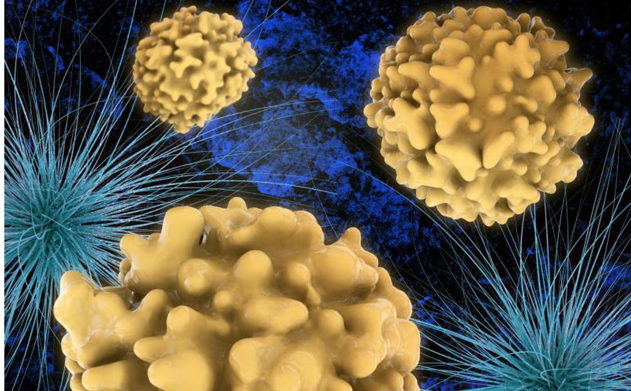 Las bacterias resistentes a los antibióticos son una amenaza para la salud mundial