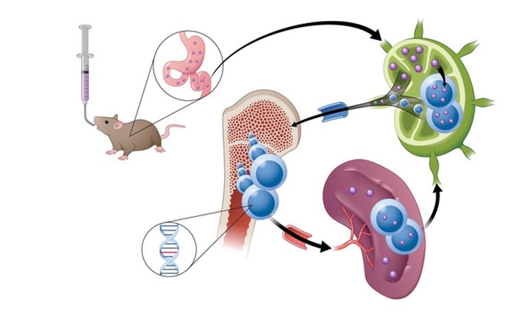 Desarrollan un nuevo fármaco contra el cáncer más eficaz y con menos efectos secundarios