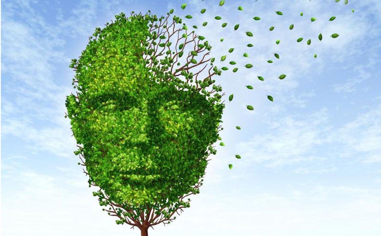 Hay motivos para sospechar que el alzhéimer podría ser una enfermedad autoinmune