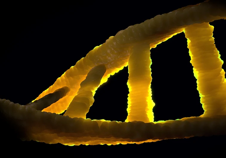 Un equipo español halla 100 nuevos genes asociados con el cáncer de colon