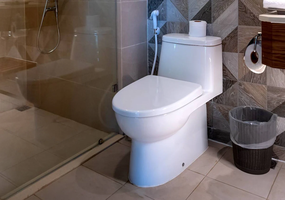 Llave WC con grifo higiénico - La fontanería en casa