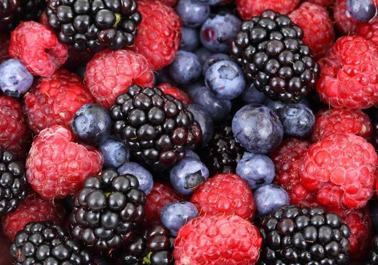 Los 10 alimentos que una nutricionista de Harvard come para «alimentar» su cerebro y «mantenerse en forma»