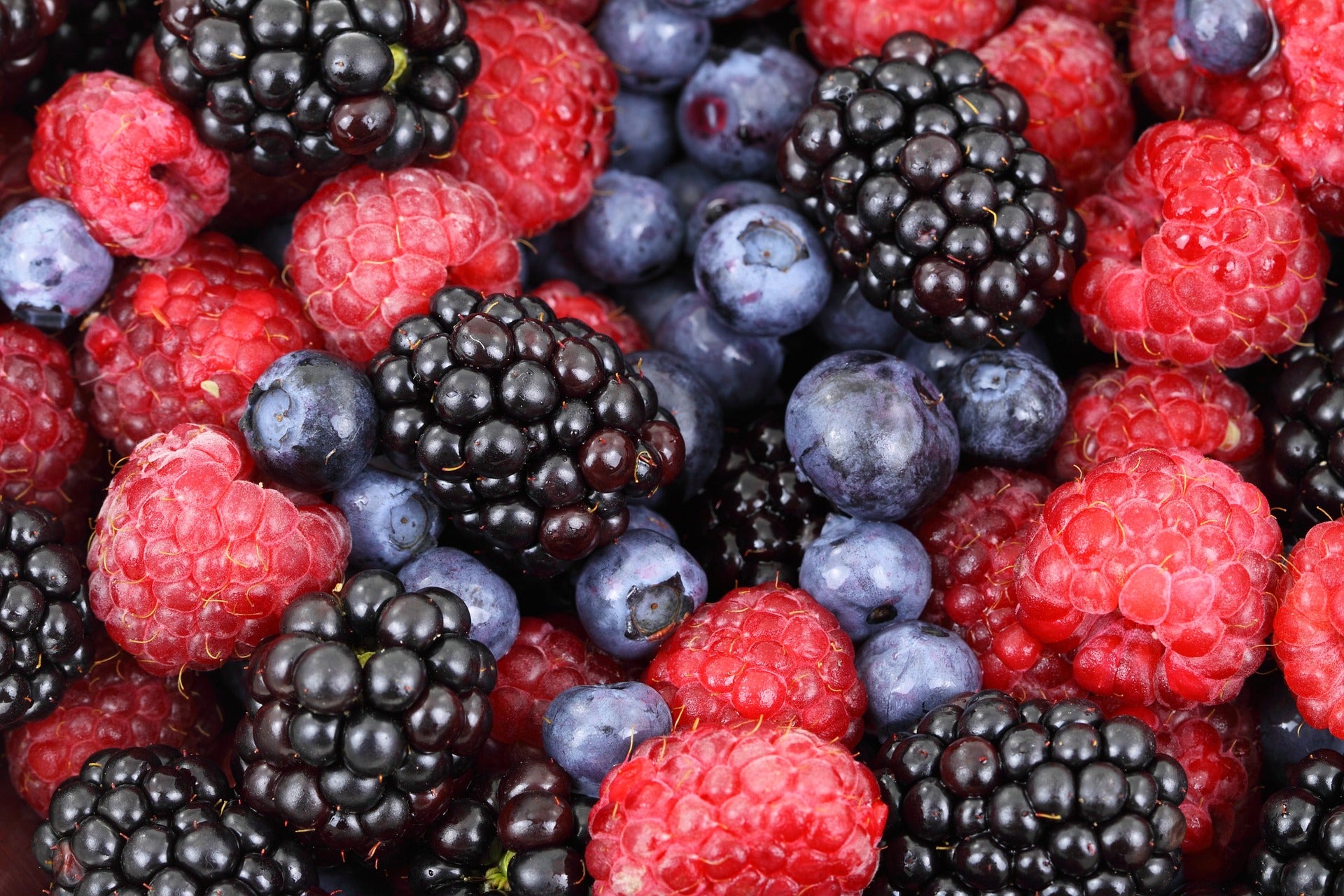 Los 10 alimentos que un nutricionista de Harvard vino a “alimentar” su cerebro y “mantenerse en forma”