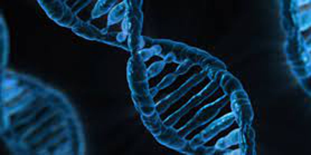 Una nueva técnica de edición de genes repara el daño del infarto en ratones