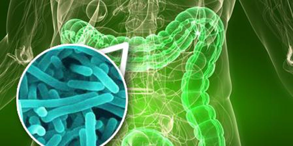 Y si el alzhéimer y el cáncer enfermedad transmisible Y si el alzhéimer y el cáncer enfermedad transmisible