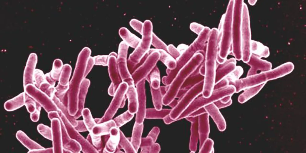 Antacids, new drugs for tuberculosis
