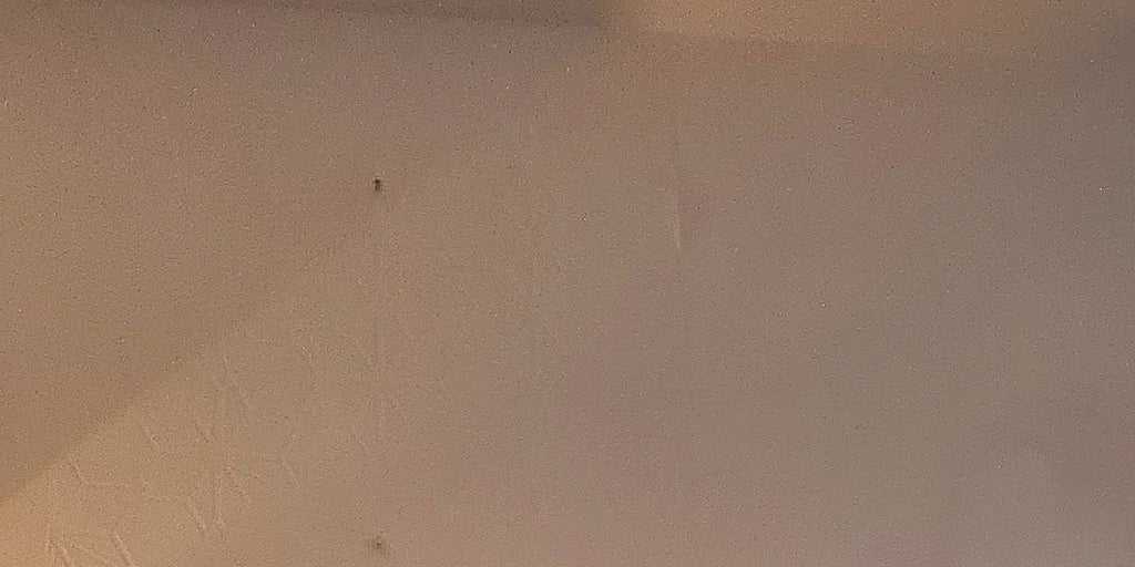 Adam Castillejo: “La ciencia debe tener límites en nuestro caso”