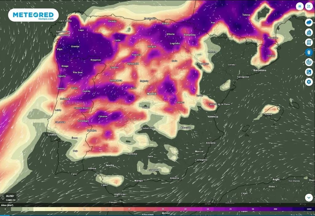 comunidades en riesgo por concentración de polen