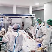 Estos son los hongos más peligrosos para la salud que se van a investigar en España: consulta la lista completa