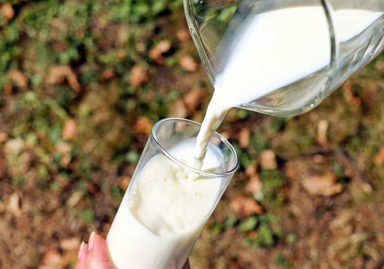 Estas son las diferencias entre ser alérgico a la leche o intolerante