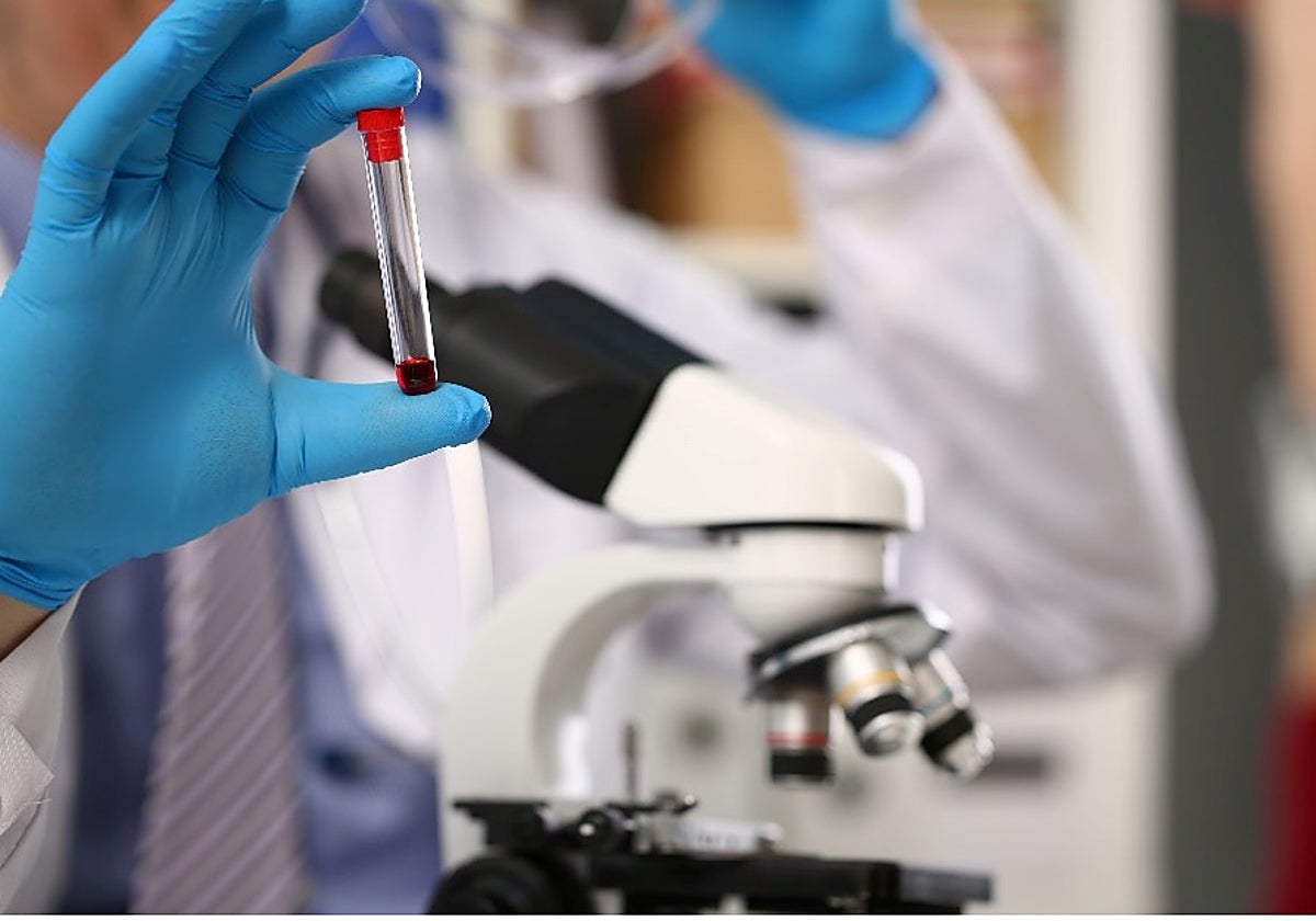 España tardó 500 días en financiar fármacos para el cáncer aprobados en Europa España tardó 500 días en financiar fármacos para el cáncer aprobados en Europa