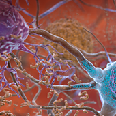 Primera quimioterapia que llega al cerebro de humanos con cáncer