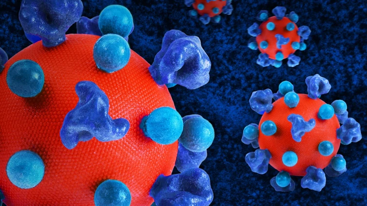 Una terapia dual elimina el virus que causa el sida en ratones