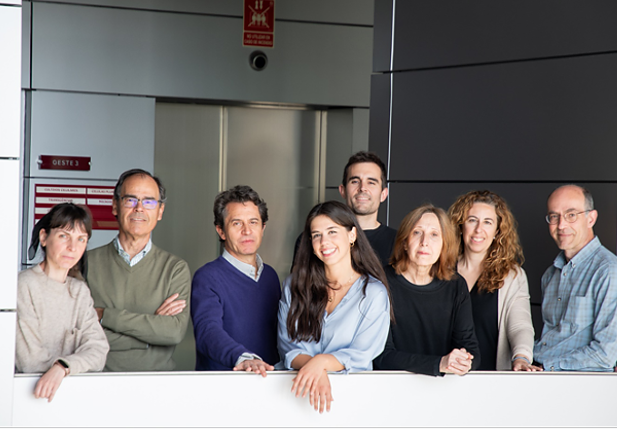 Vanessa Núñez, Jesús Vázquez, Emilio Camafeita, Ana Paredes, Pablo Hernansanz-Agustín, Mercedes Ricote, Fátima Sánchez Cabo y Fernando Martínez