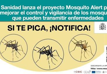 «Si te pica, notifica»: así es 'Mosquito Alert', la nueva app de Sanidad para reportar picaduras, avalada por Fernando Simón