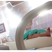 Así adquieren los nacidos por cesárea las beneficiosas bacterias de la madre