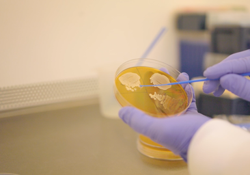 Una dieta sana en los primeros años favorece una vida más saludable