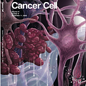 Imagen - Los resultados muestran que la metástasis influye en la actividad eléctrica cerebral de manera específica