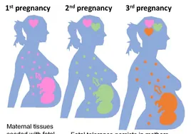 Las madres recuerdan sus embarazos para prevenir futuras complicaciones