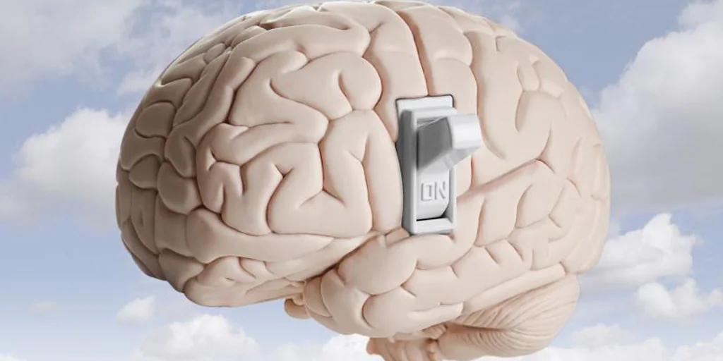 Un implant cérébral restaure la capacité de se souvenir de cinq patients souffrant de traumatismes crâniens