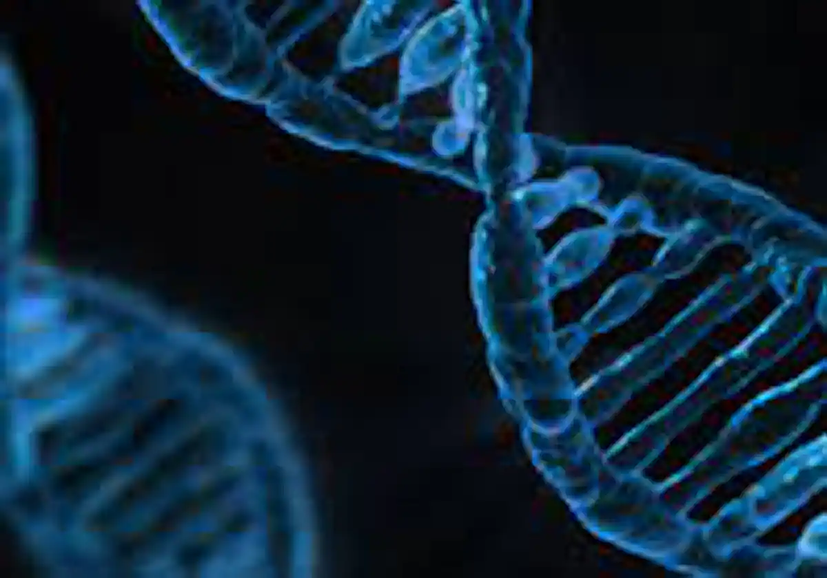 Un interruptor activa o desactiva genes y hace más segura la terapia génica