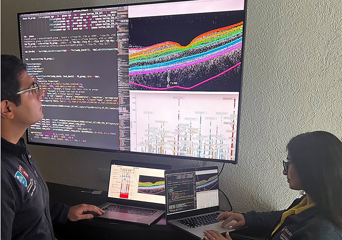 Seyedeh Maryam Zekavat y Saman Doroodgar Jorshery examinan datos e imágenes del espesor de la retina