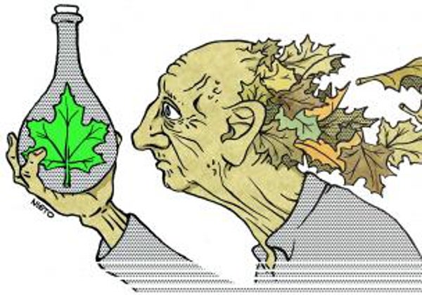 En busca de la juventud. Lo que funciona y lo que no para frenar el envejecimiento