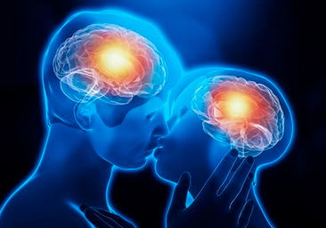 Oxitocina: la hormona del amor que encierra la clave para una mejor memoria