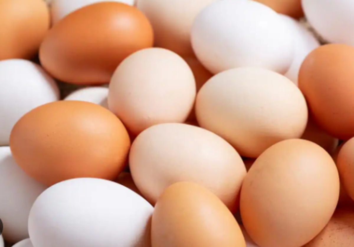 Un estudio evidencia que los huevos no aumentan el colesterol en las personas ni afectan a su salud cardiovascular