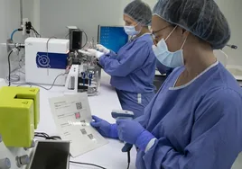 Un estudio español avala la seguridad de los bioimplantes de células madre cordón cardiacos