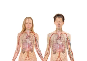 Los beneficios del ayuno con quimioterapia en el cáncer varían según el sexo