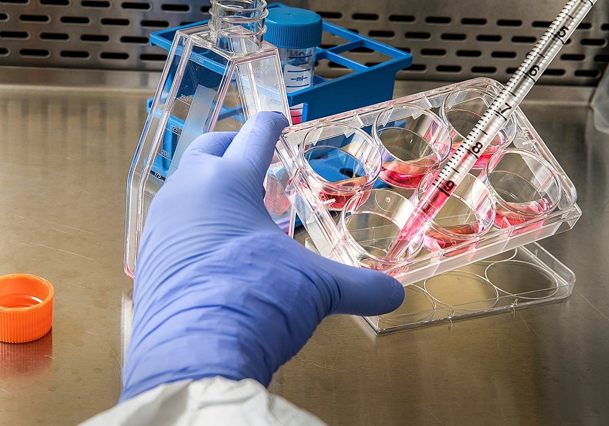 Fabricación de vacunas en el laboratorio