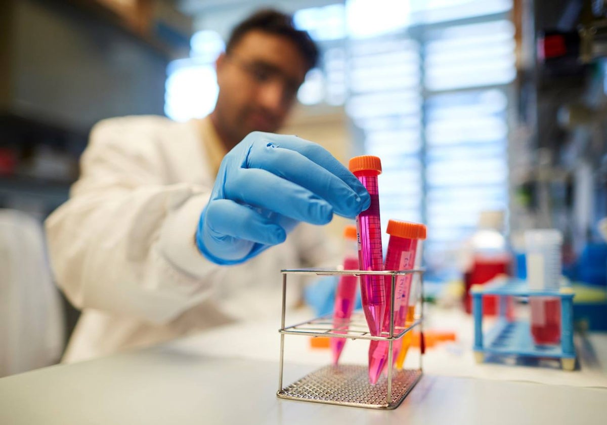 Imagen de muestras de un laboratorio