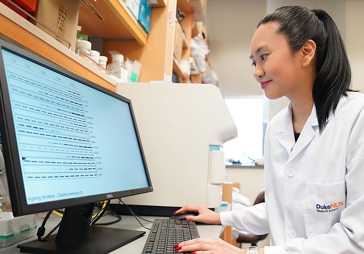 Anissa Anindya Widjaja observando datos experimentales como parte de su estudio sobre IL11.