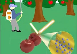 ¿Por qué deberías pelar la manzana además de lavarla? Esta investigación sobre pesticidas tiene la clave