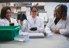 Un fármaco contra el cáncer podría tratar el alzhéimer en etapas tempranas