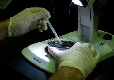 ¿Cómo saber tu edad biológica en la sangre o la saliva?