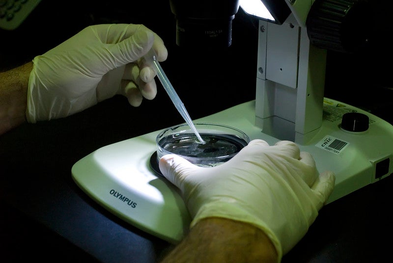 Análisis de muestras celulares